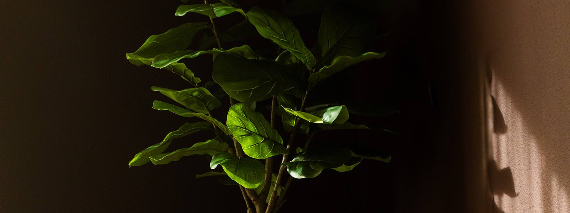 Vergaderzaal met daglicht bij City Hotel Gouda, hotel met vergaderruimte in het centrum van Gouda